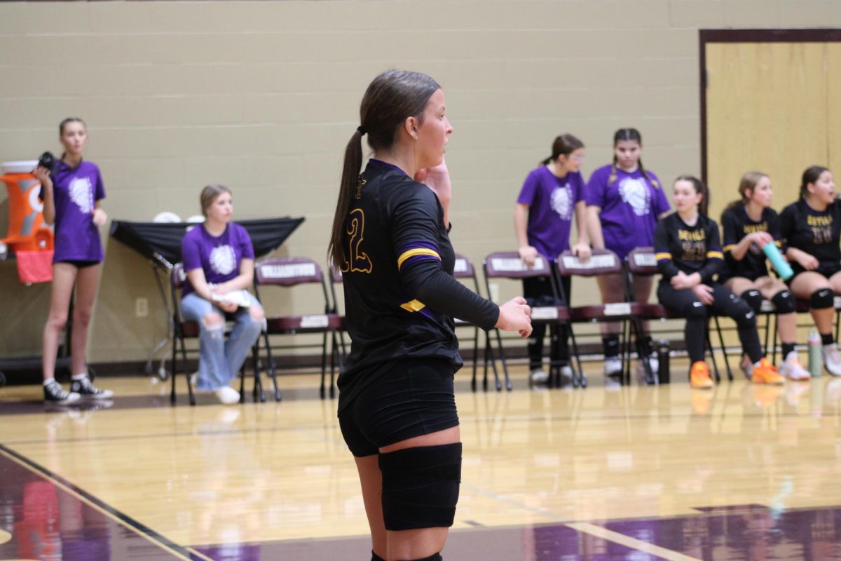 Volleyball Loses LKC Matches