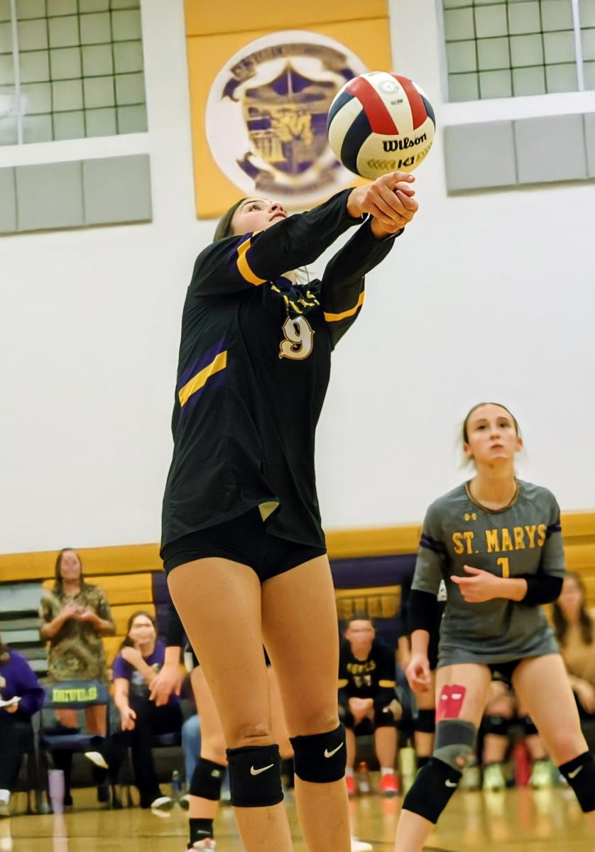 Volleyball Team Qualifies for State Tournament for Second Consecutive Year
