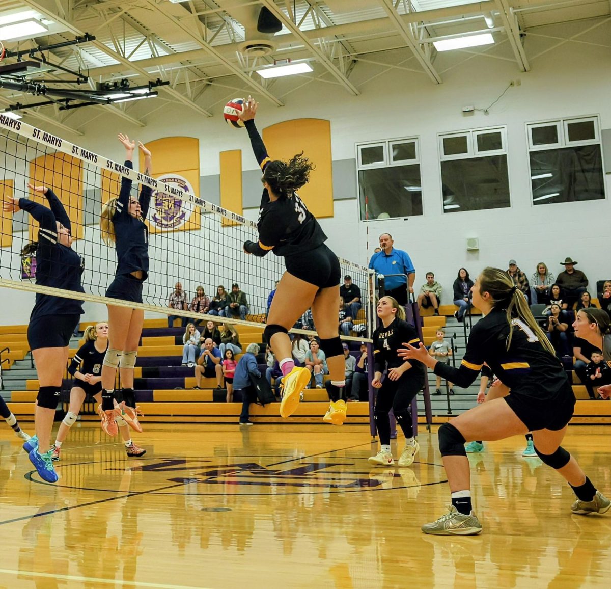 Volleyball Team Makes History