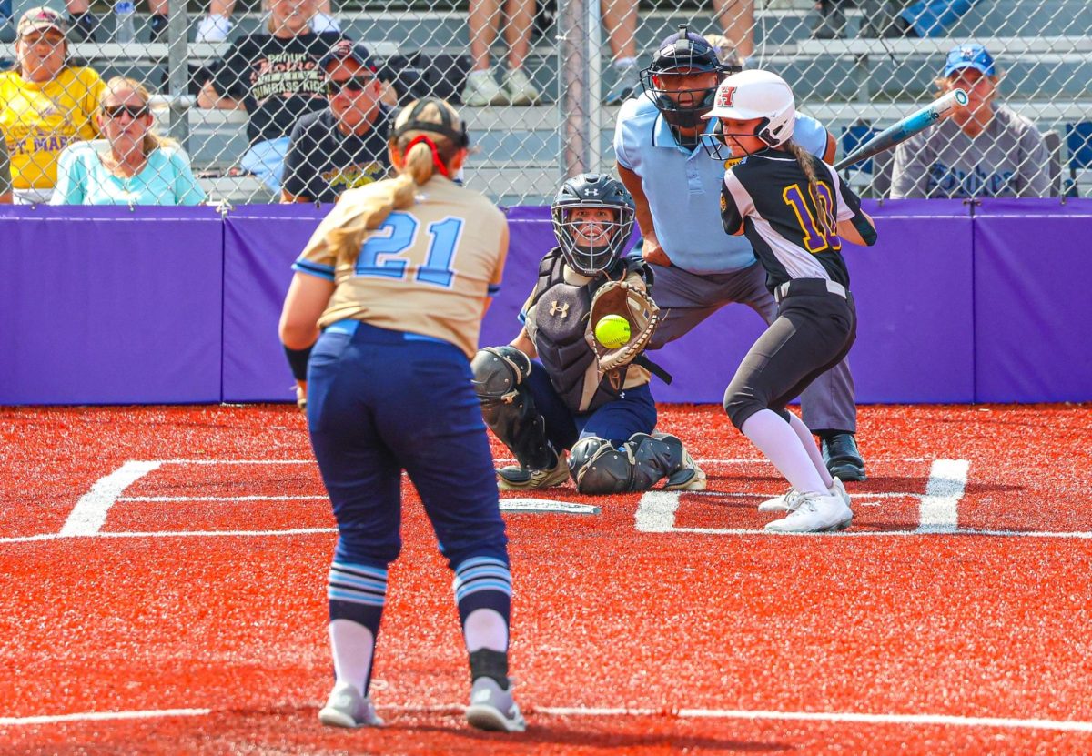 Softball Takes on AA & AAA Teams